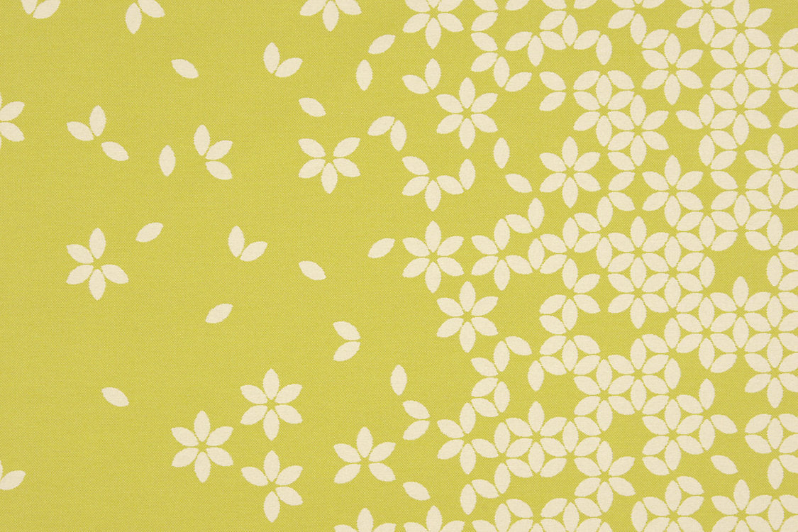 Sonnen|Pause - Green Apple - Scalamandre Fabric