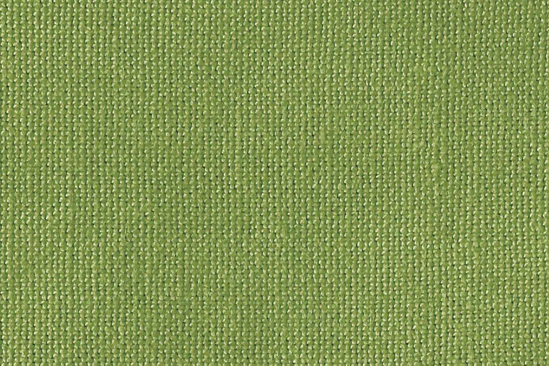 Casalino - Grass - Scalamandre Fabric