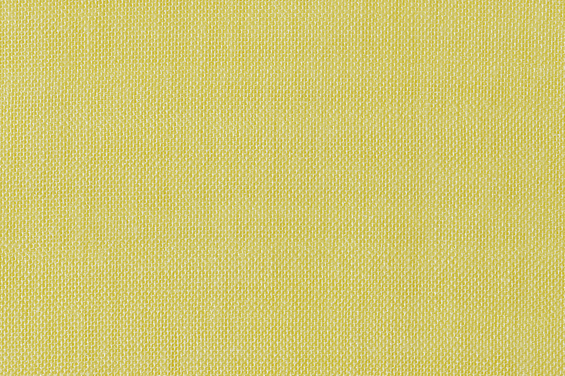 Alsara - Canary