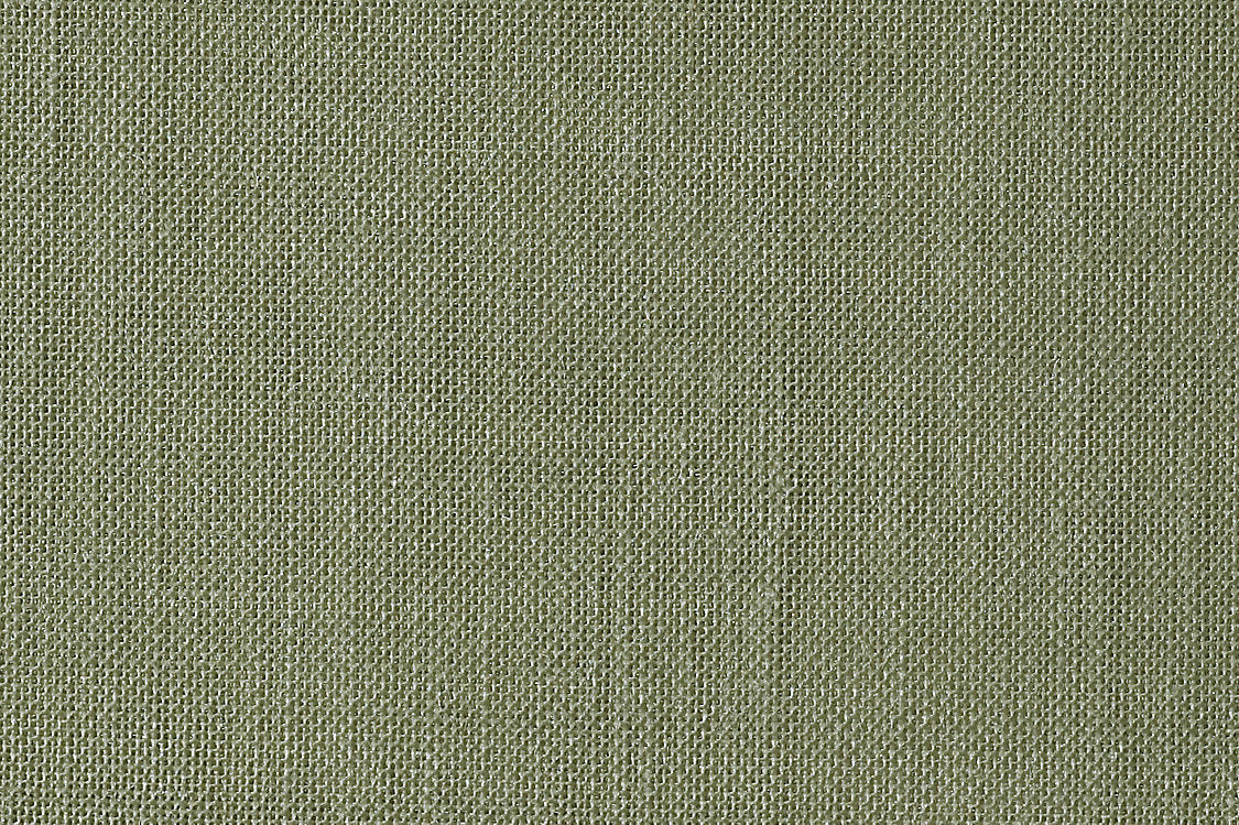Alsara - Nettle - Scalamandre Fabric
