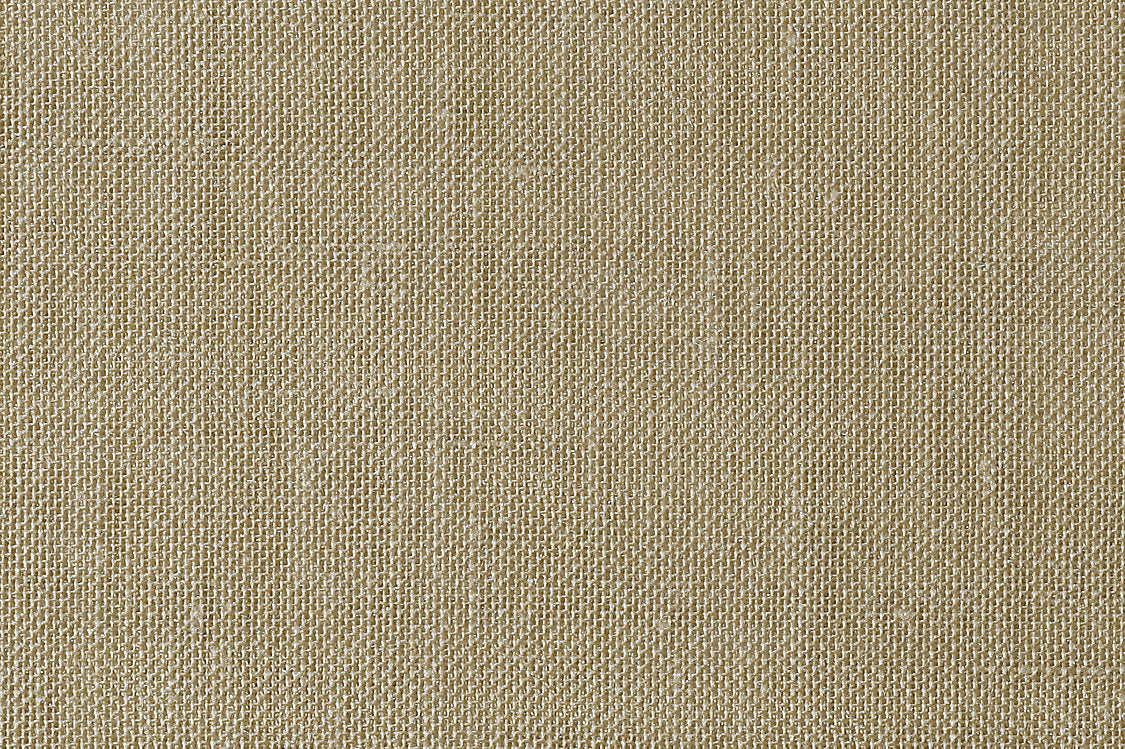 Alsara - Birch - Scalamandre Fabric
