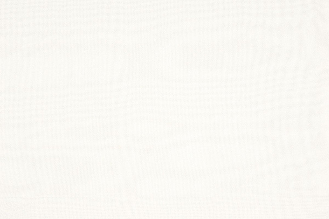 Absolut - Paper White - Scalamandre Fabric