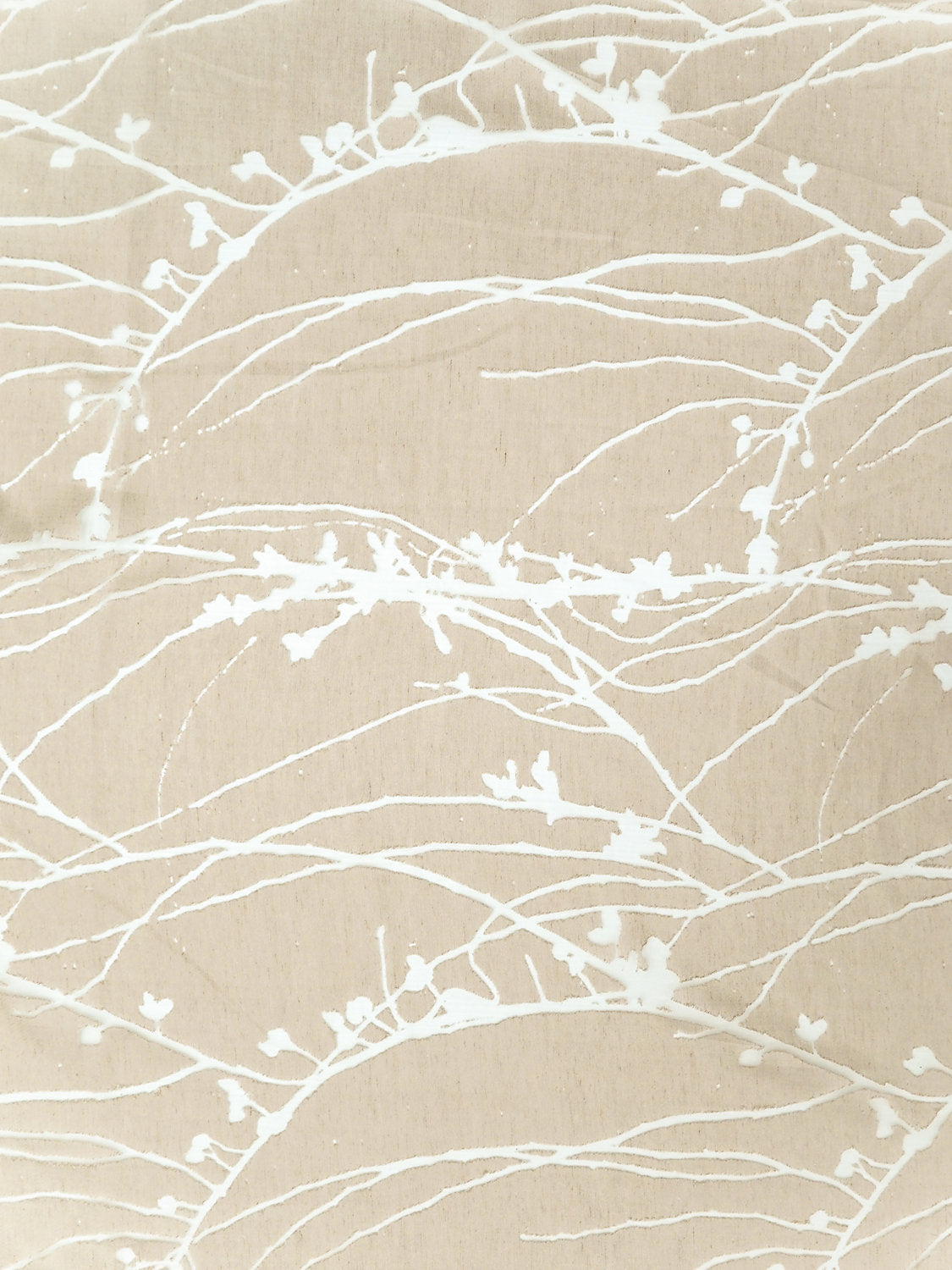 Ikebana - Almond