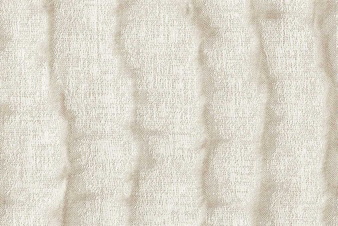 Ink - Shell - Scalamandre Fabric