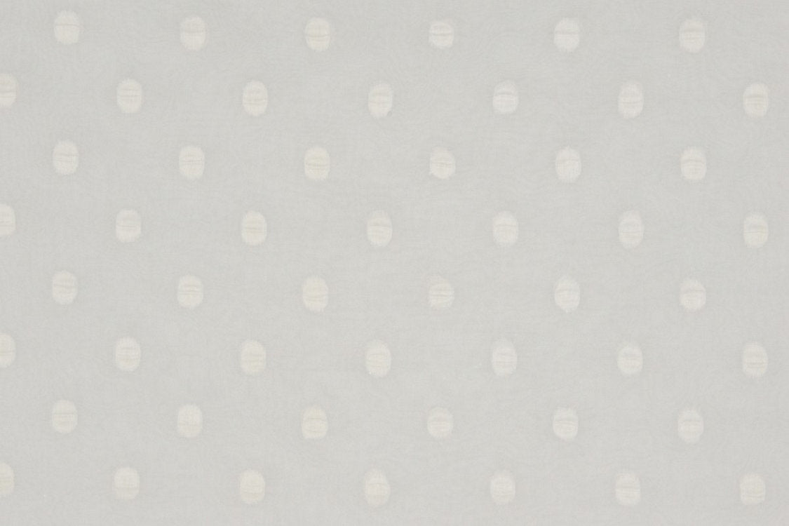 Solar Eclipse - Paper White