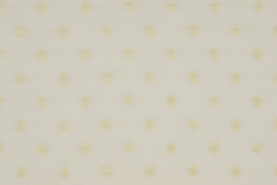 Solar Eclipse - Cream - Scalamandre Fabric