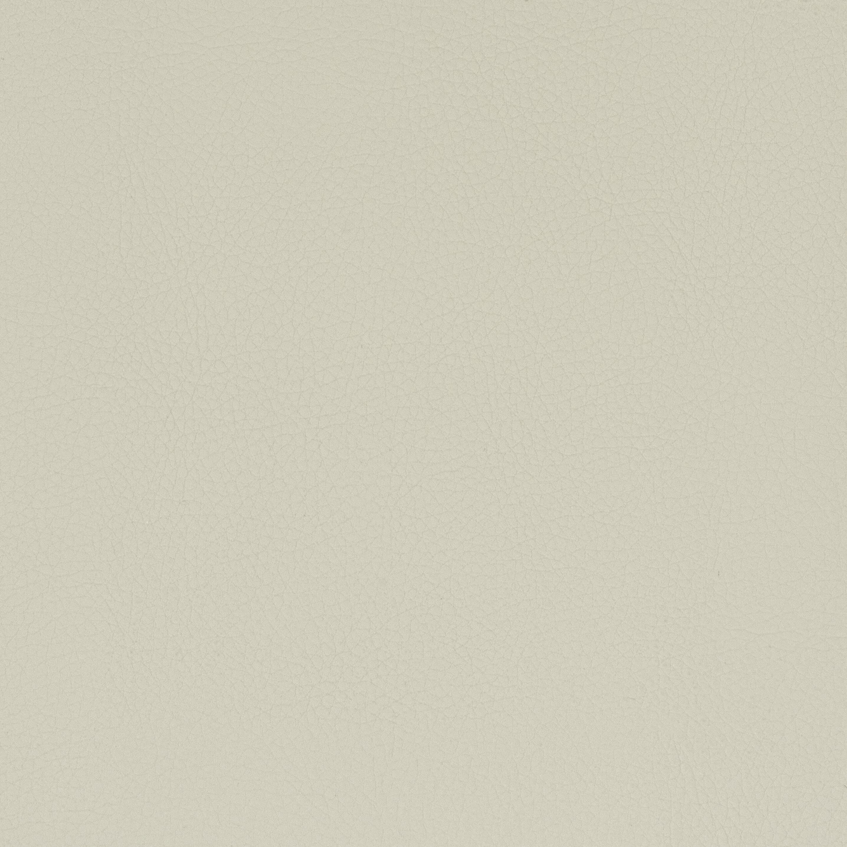 Classic 5 Camel by Stout Fabric