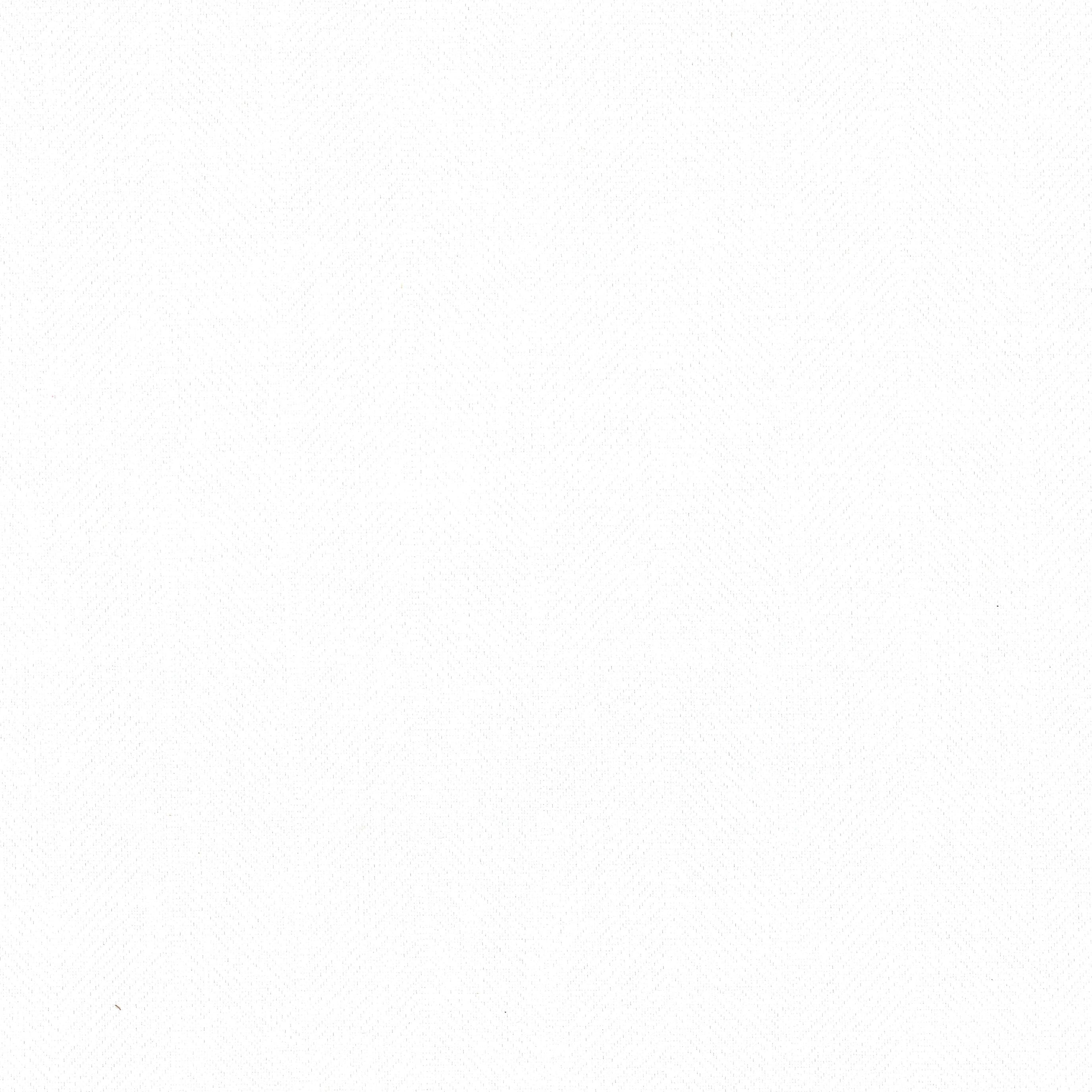 Cynthia 4 Eggshell by Stout Fabric