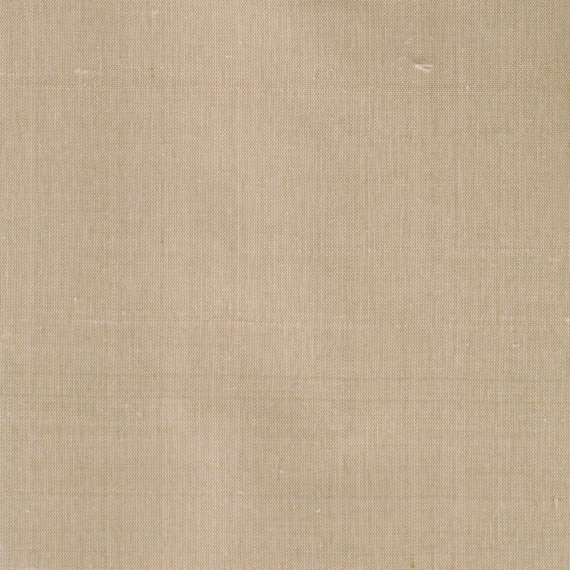 DUPIONI-19-TWIG-STOUT-TEXTILES - Stout Textiles Fabric