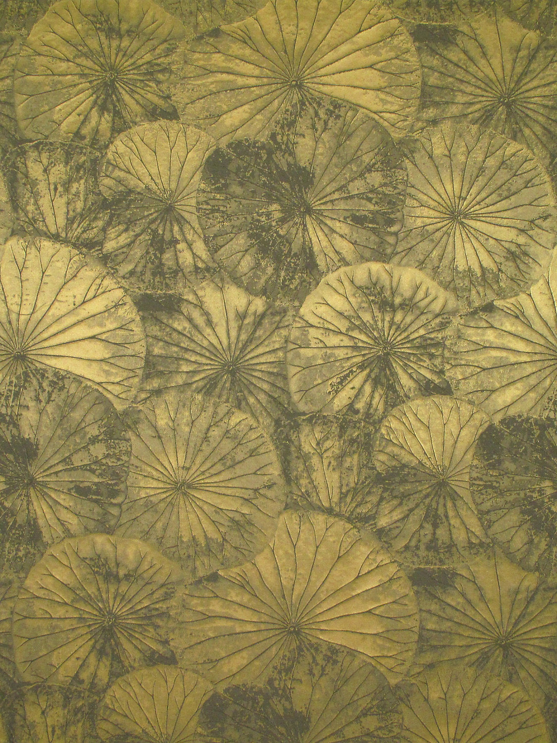 Lotus - Olive