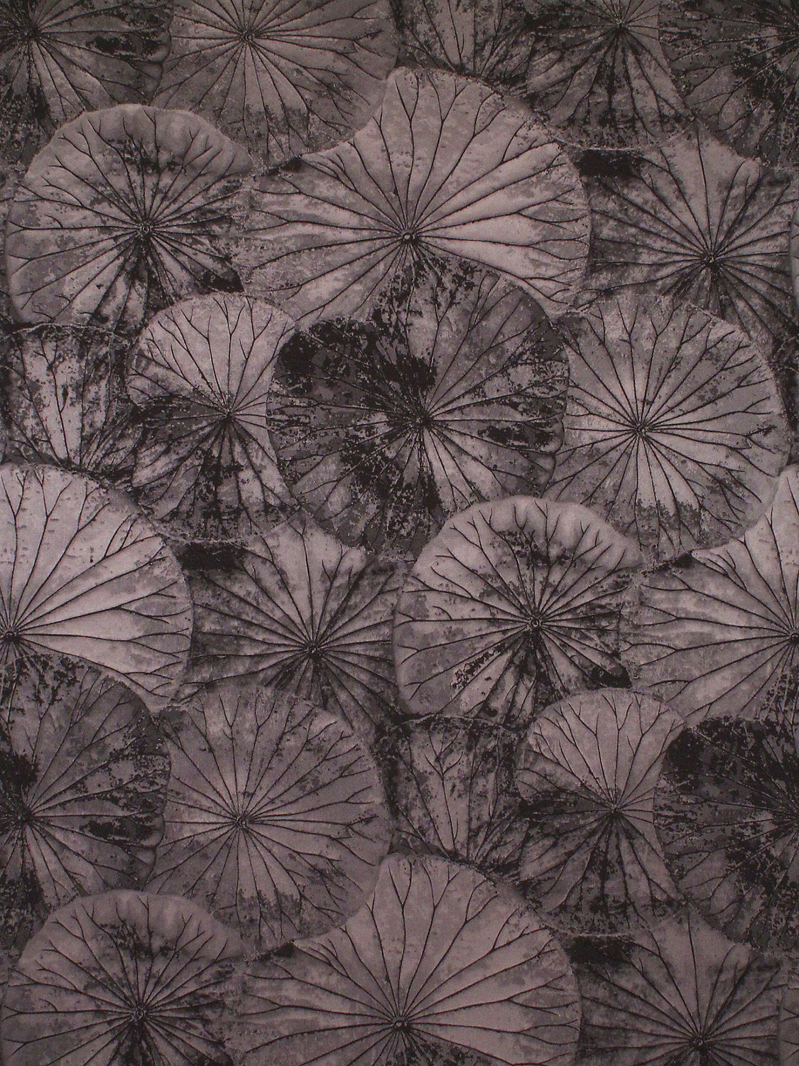 Lotus - Fudge