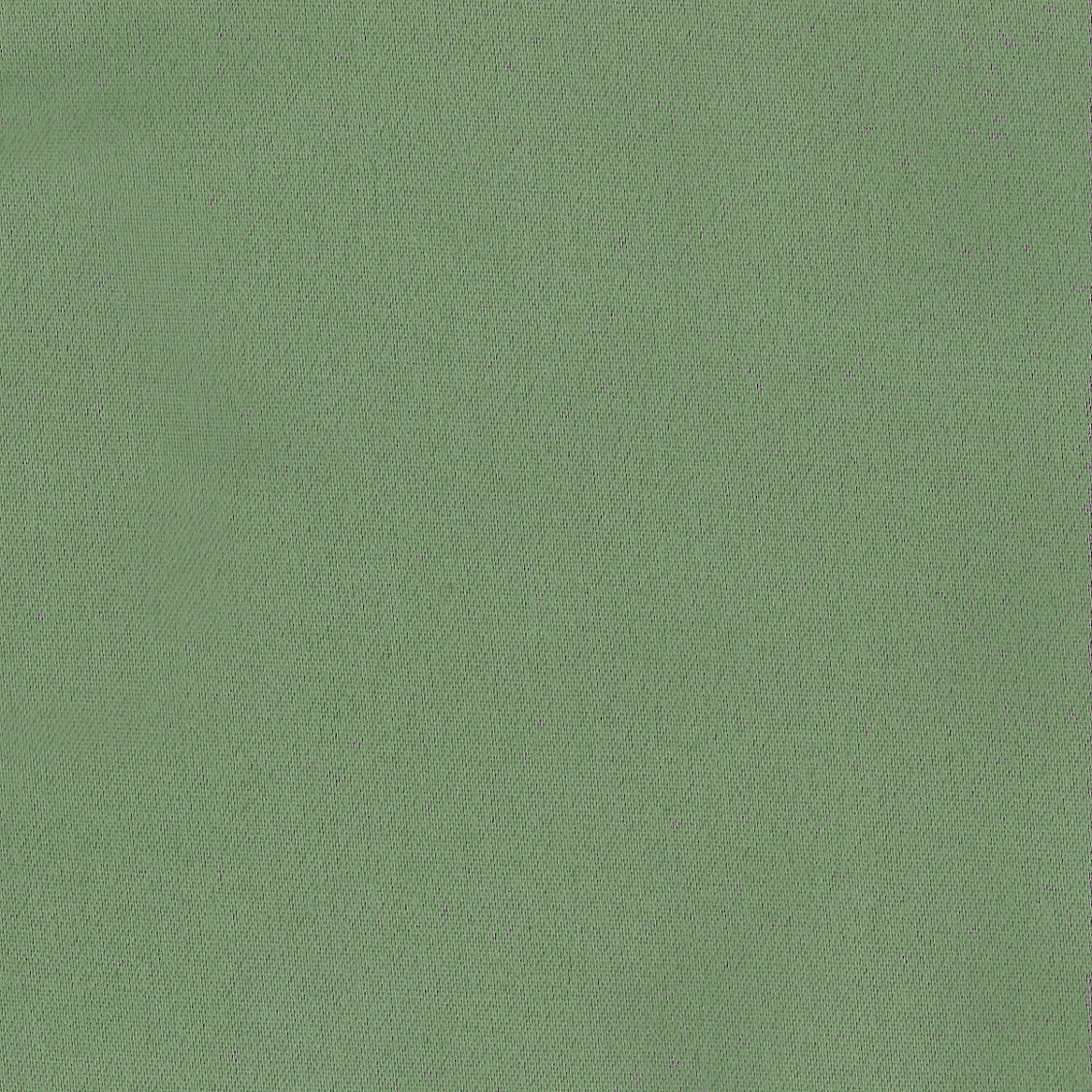 Satin Vegas Fr - Sauge