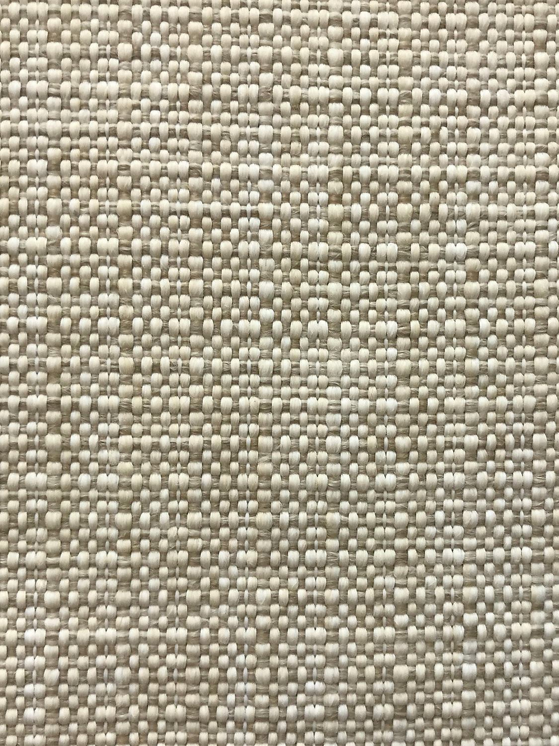 Madagascar Plain Fr - Paper White - Scalamandre Fabric