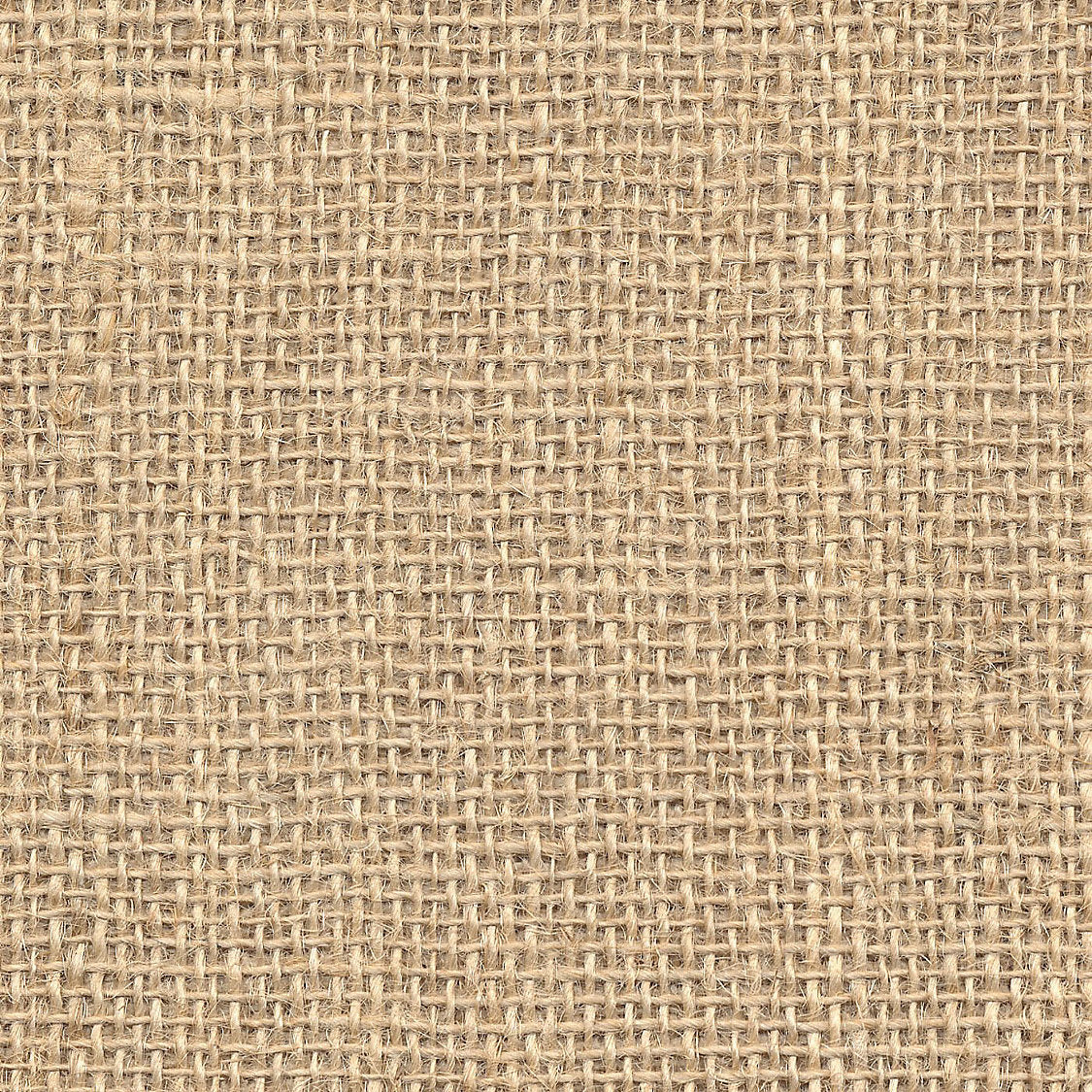 Toile D'Emborrure - Natural - Scalamandre Fabric