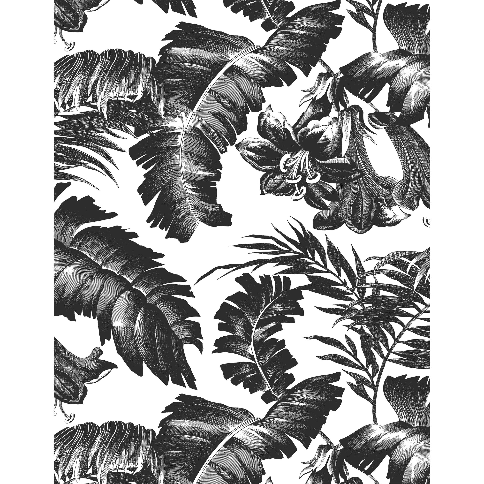 GDW5449.005.0 PLANTATION BLACK&WHITE - GASTON Y DANIELA Wallcovering
