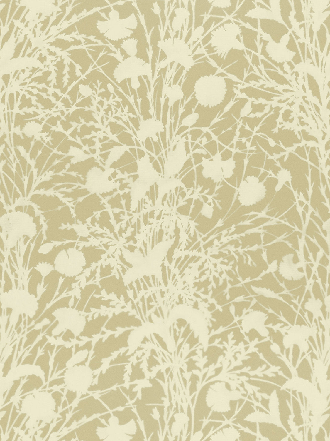 Wildflower - Oat