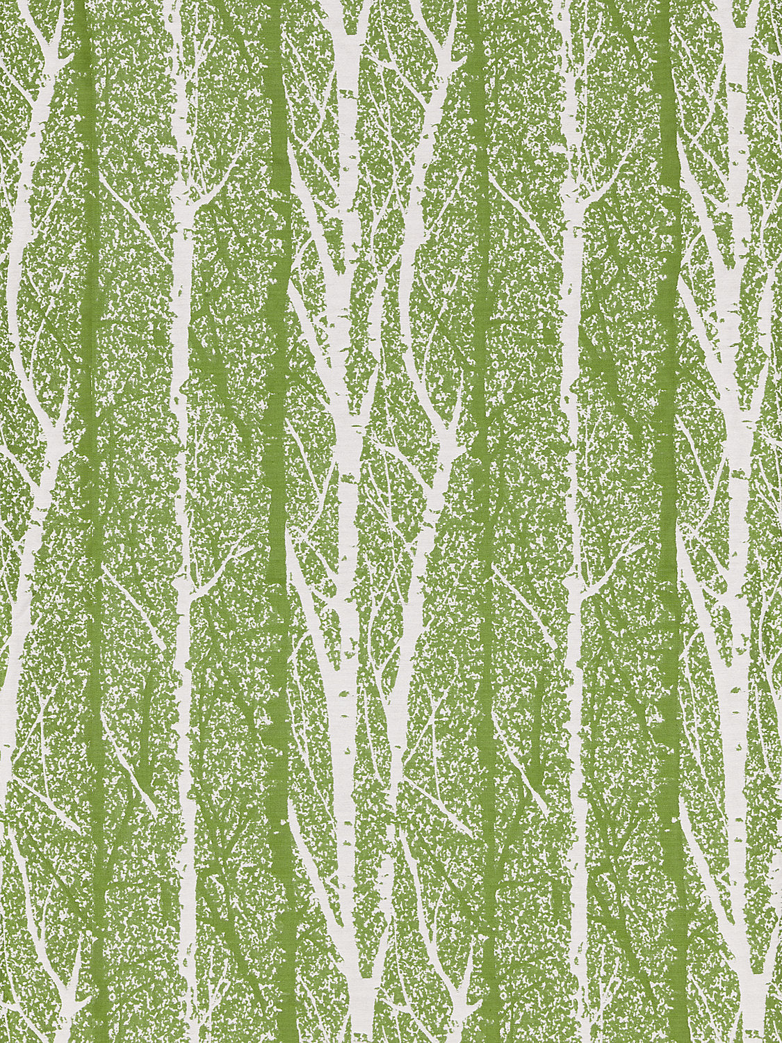 Birch Weave - Spring Green - Scalamandre Fabric
