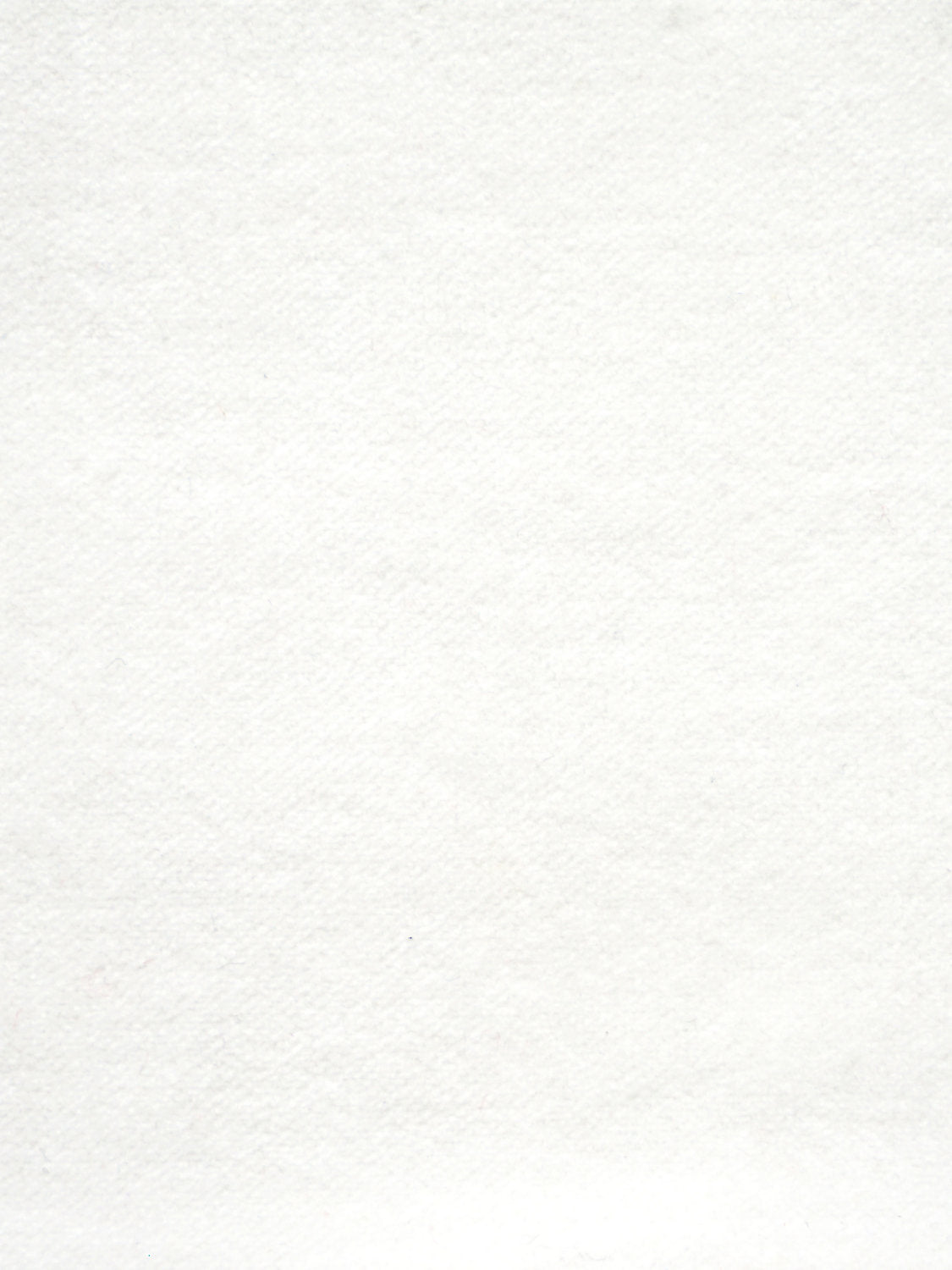 Cosmos - Talc - Scalamandre Fabric