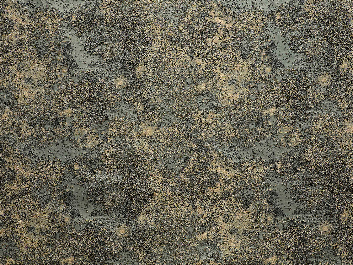 Astral - Lichen