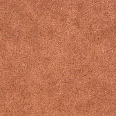 Alcantara - Alezan - Scalamandre Fabric