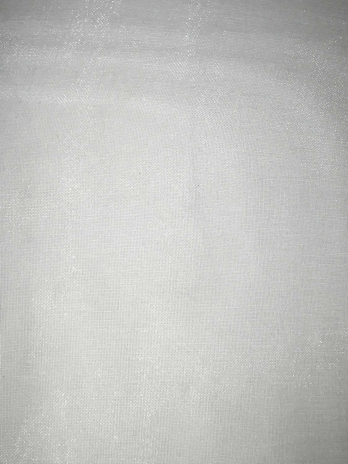 Organza - Ivoire - Scalamandre Fabric