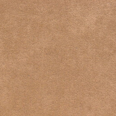 Alcantara - Gazelle - Scalamandre Fabric