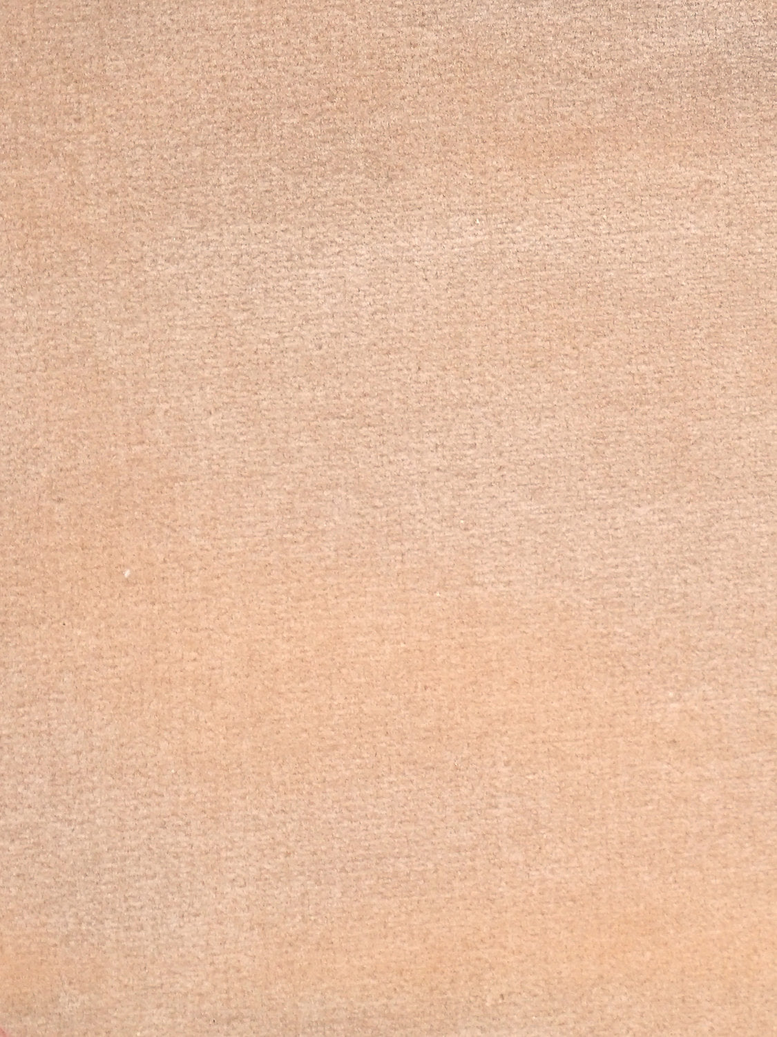 Cosmos - Camel - Scalamandre Fabric