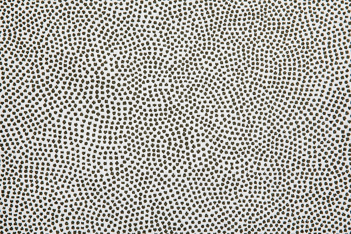 Escale - Kaki - Scalamandre Fabric