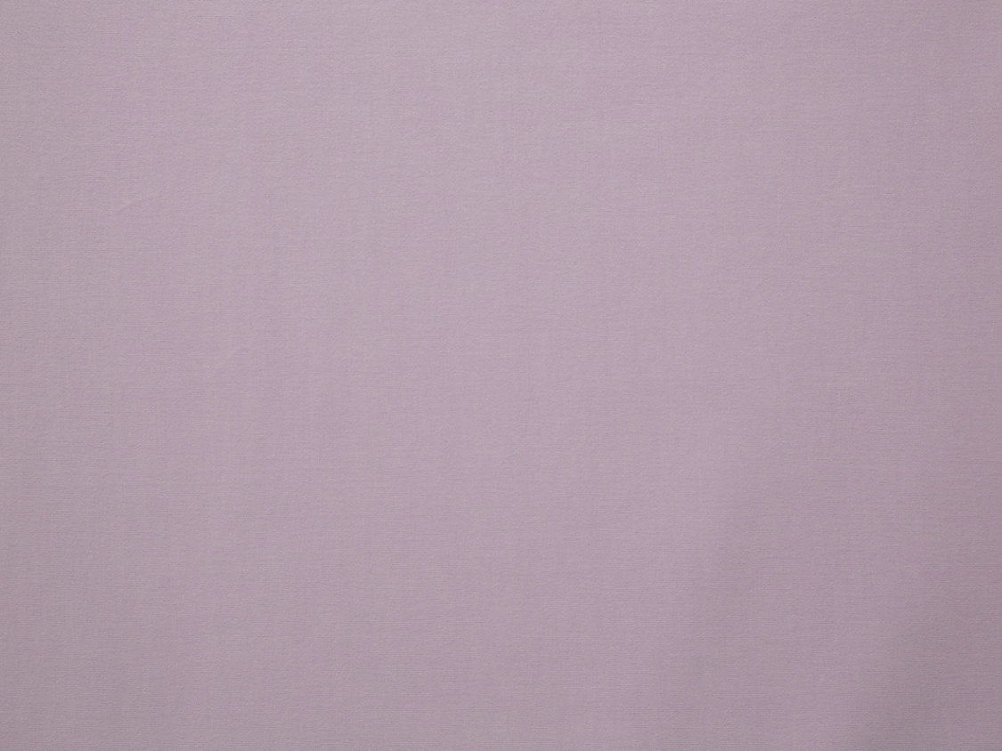 Toucan - Lilas - Scalamandre Fabric