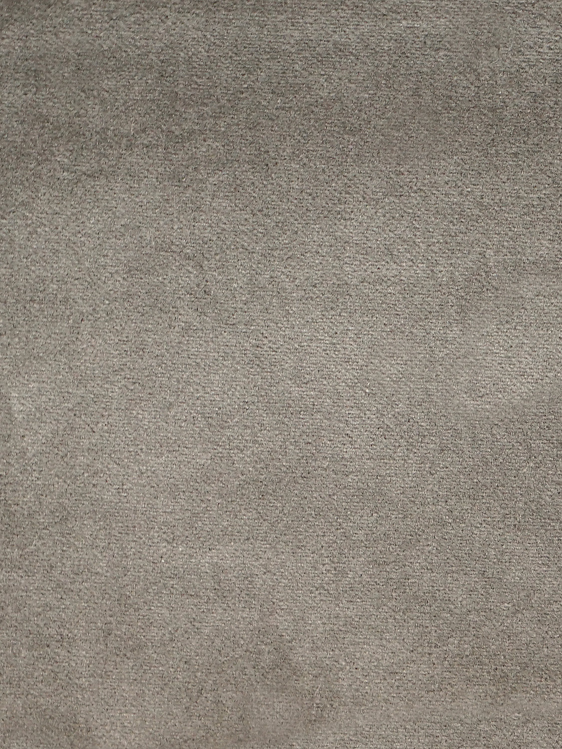 Cosmos - Cendre - Scalamandre Fabric