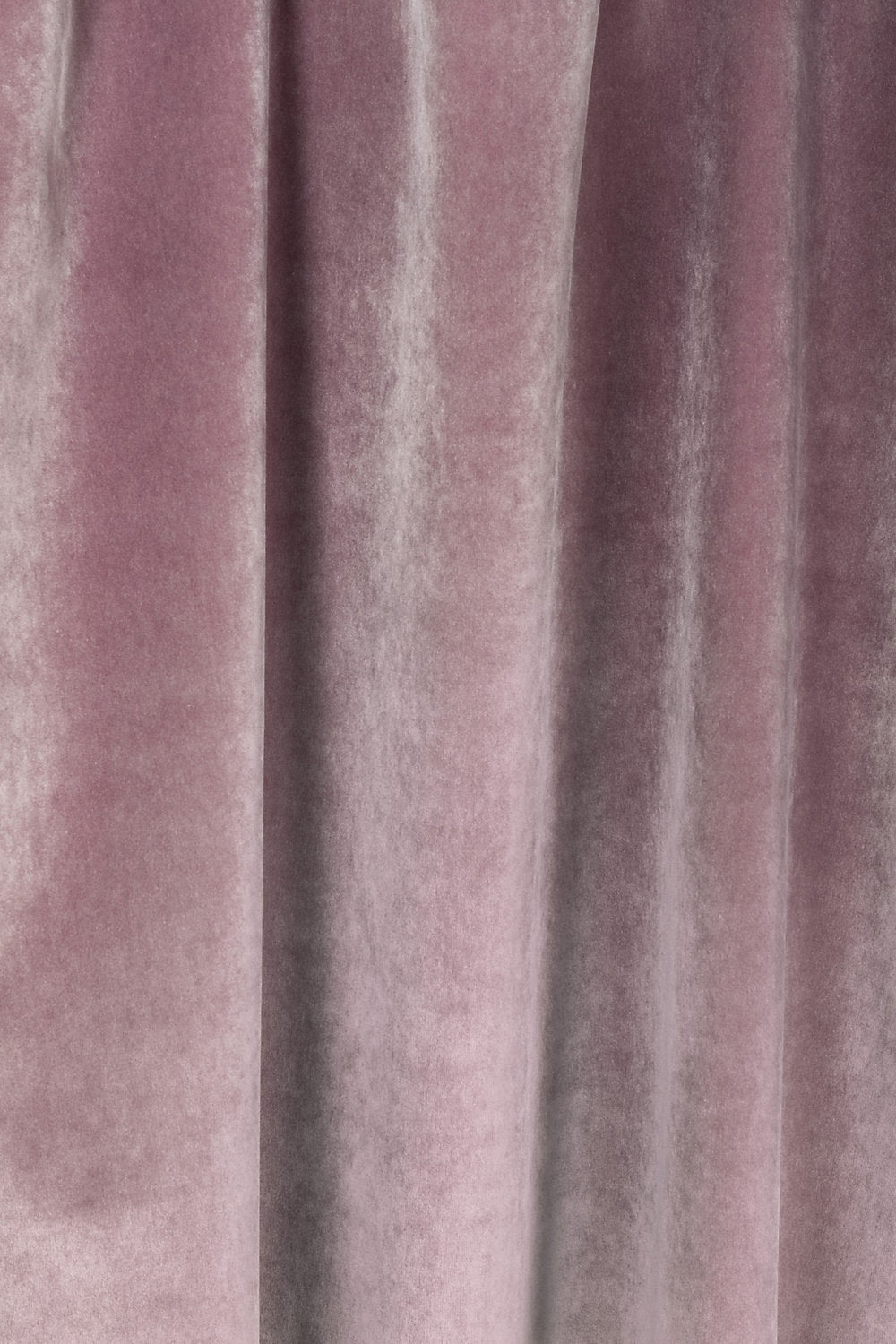 Sultan M1 - Glycine - Scalamandre Fabric
