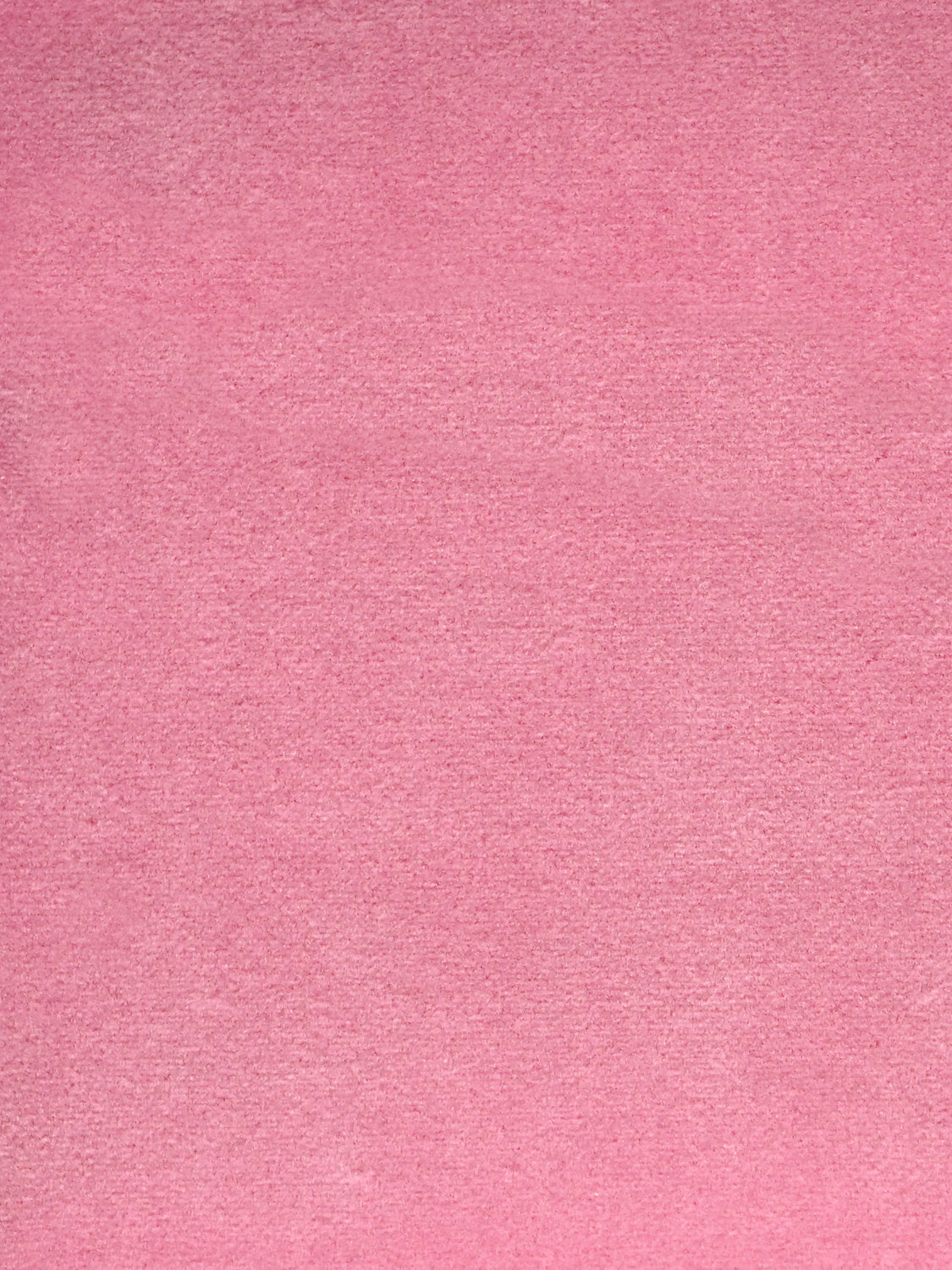 Cosmos - Bruyere - Scalamandre Fabric