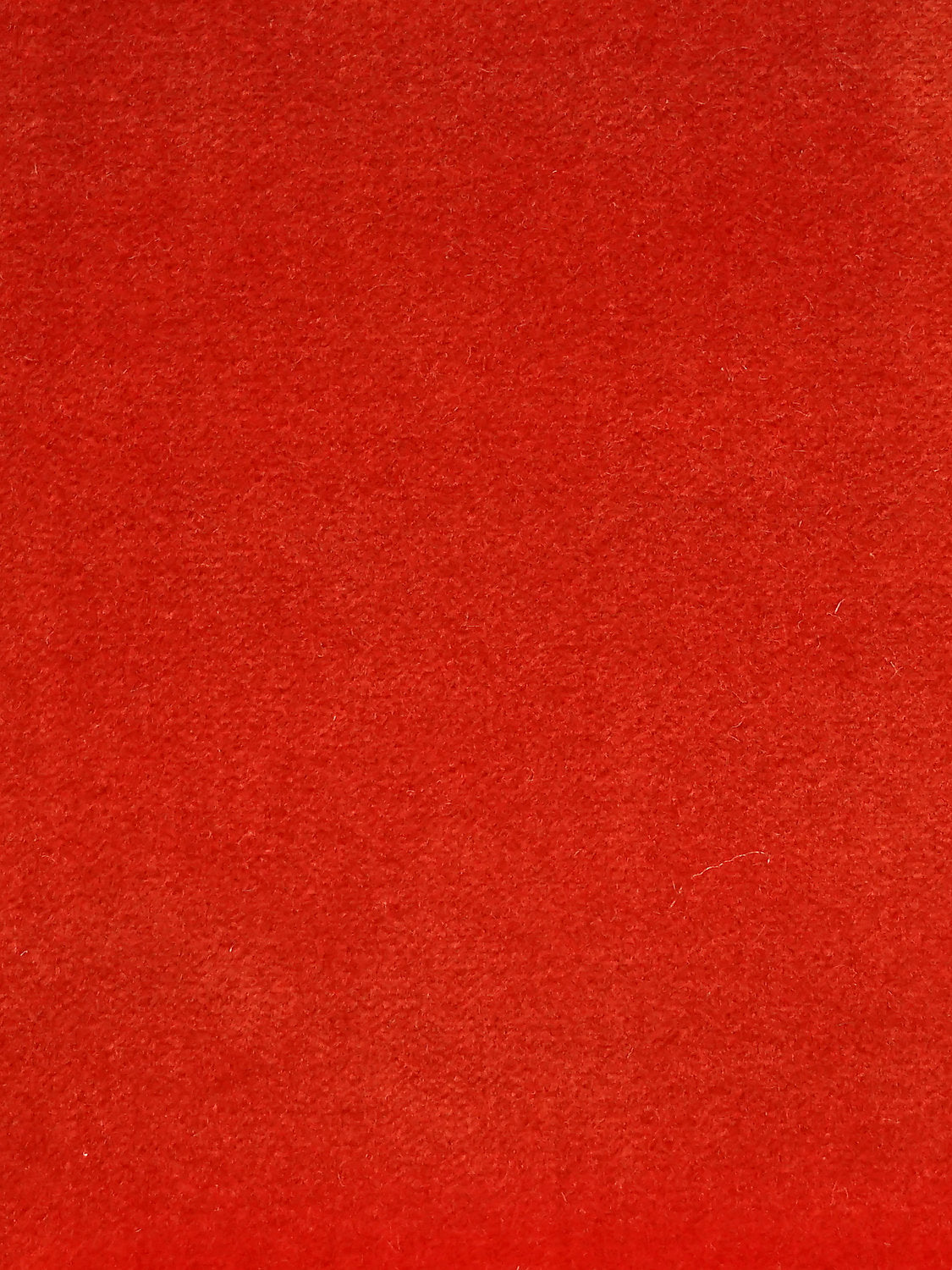 Cosmos - Pavot - Scalamandre Fabric
