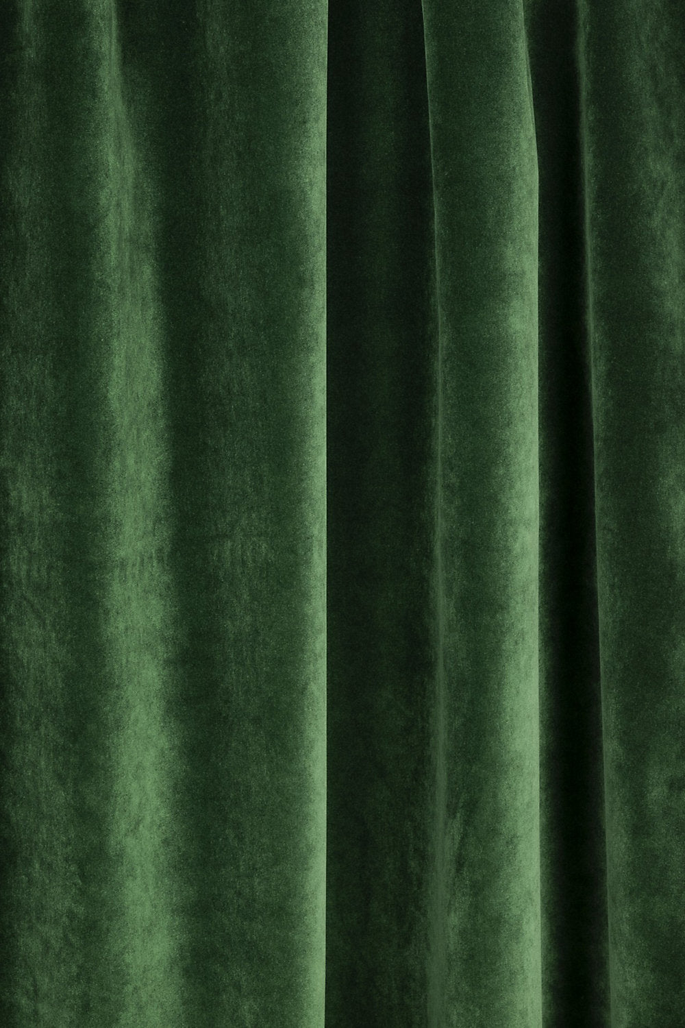 Sultan M1 - Vert - Scalamandre Fabric