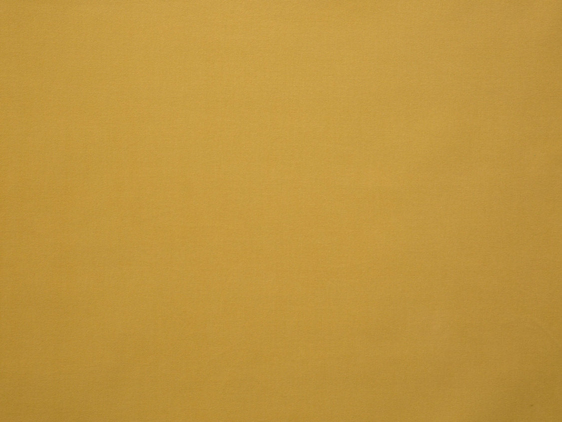 Toucan - Orge - Scalamandre Fabric