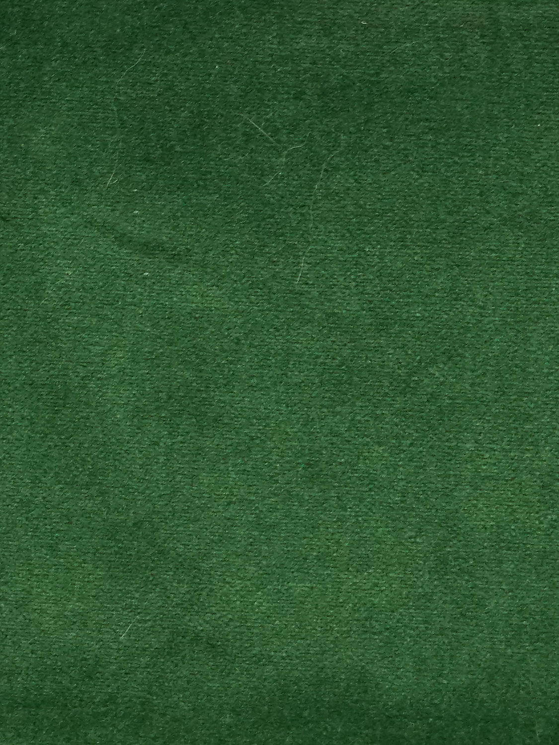 Cosmos - Conifere - Scalamandre Fabric