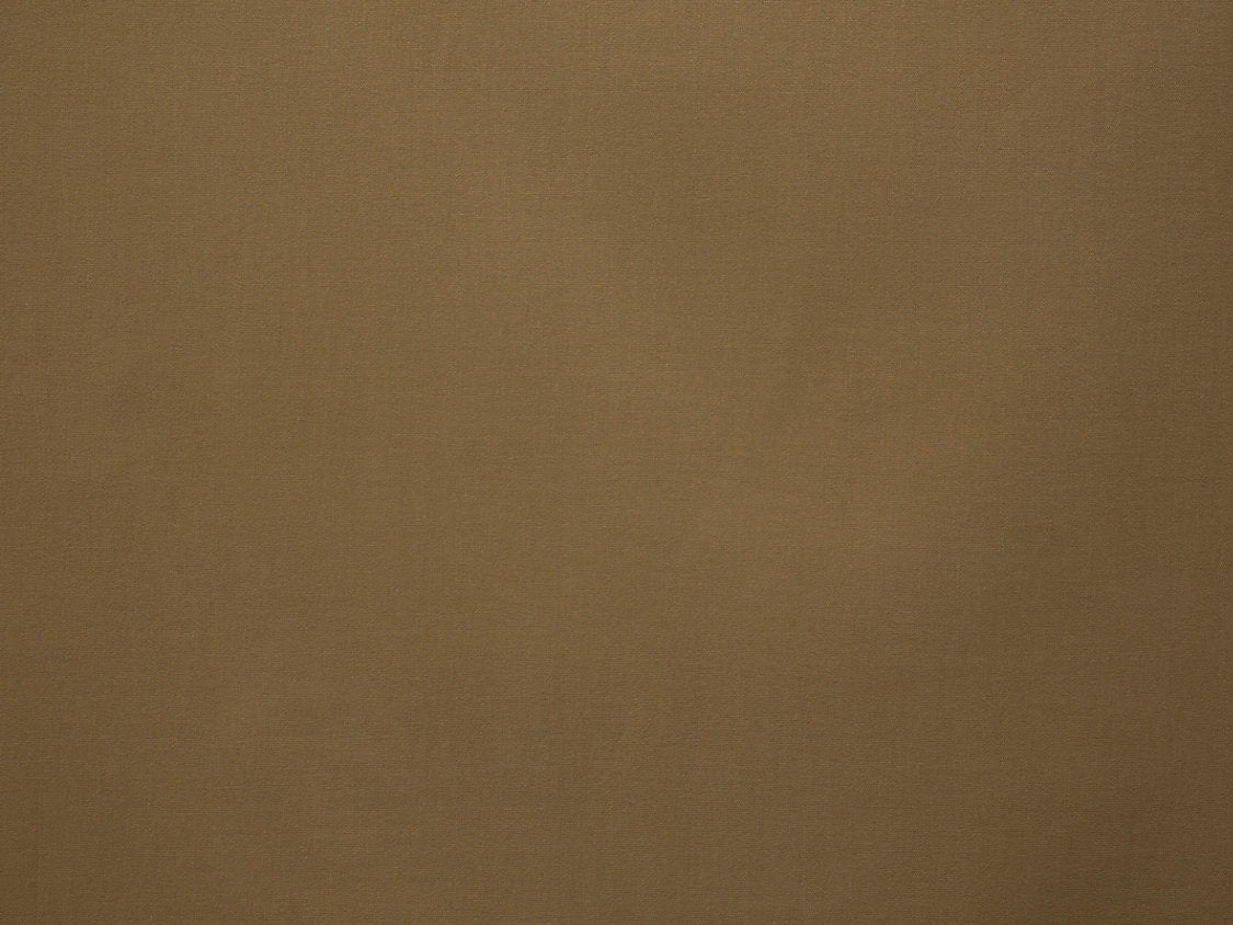 Toucan - Moka - Scalamandre Fabric