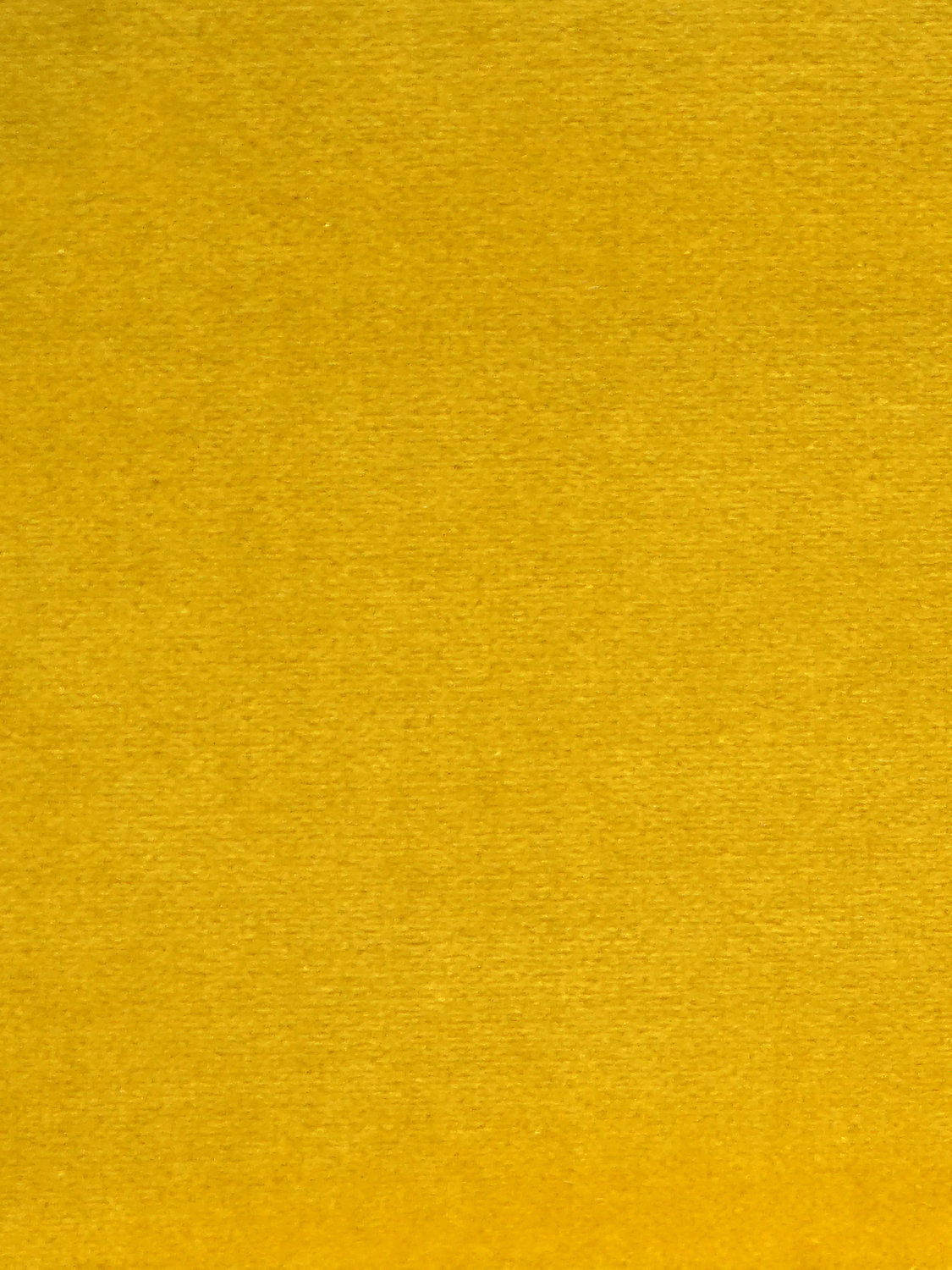 Cosmos - Pollen - Scalamandre Fabric