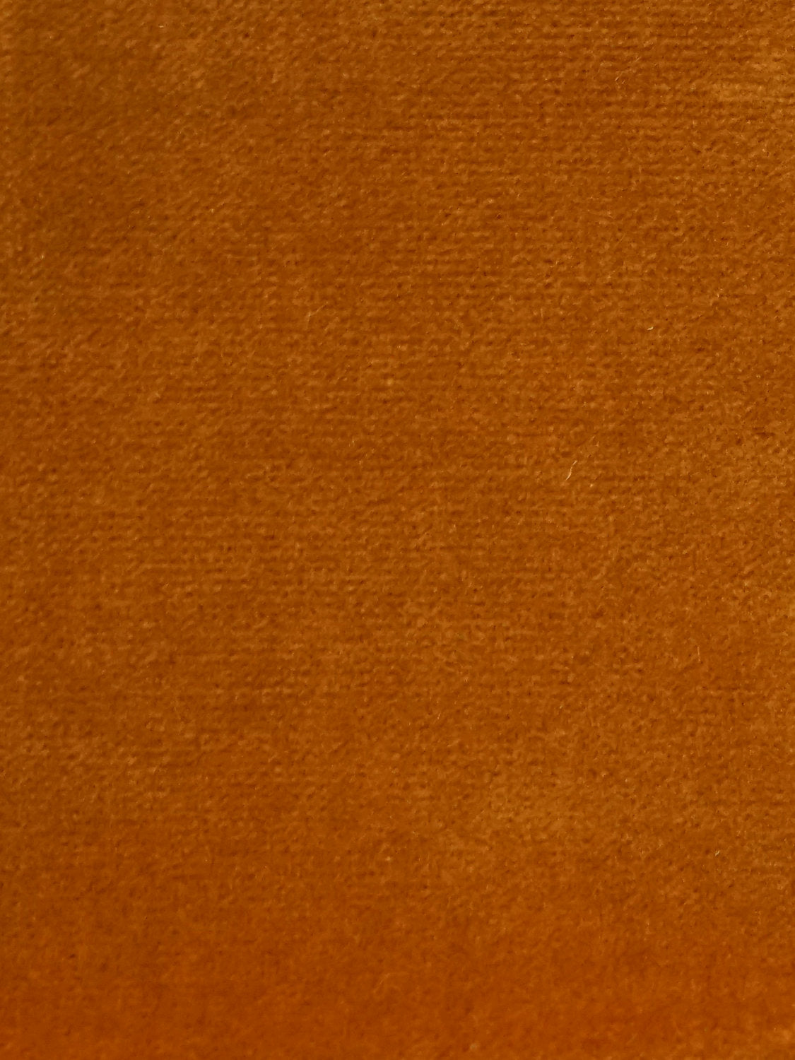Cosmos - Ambre