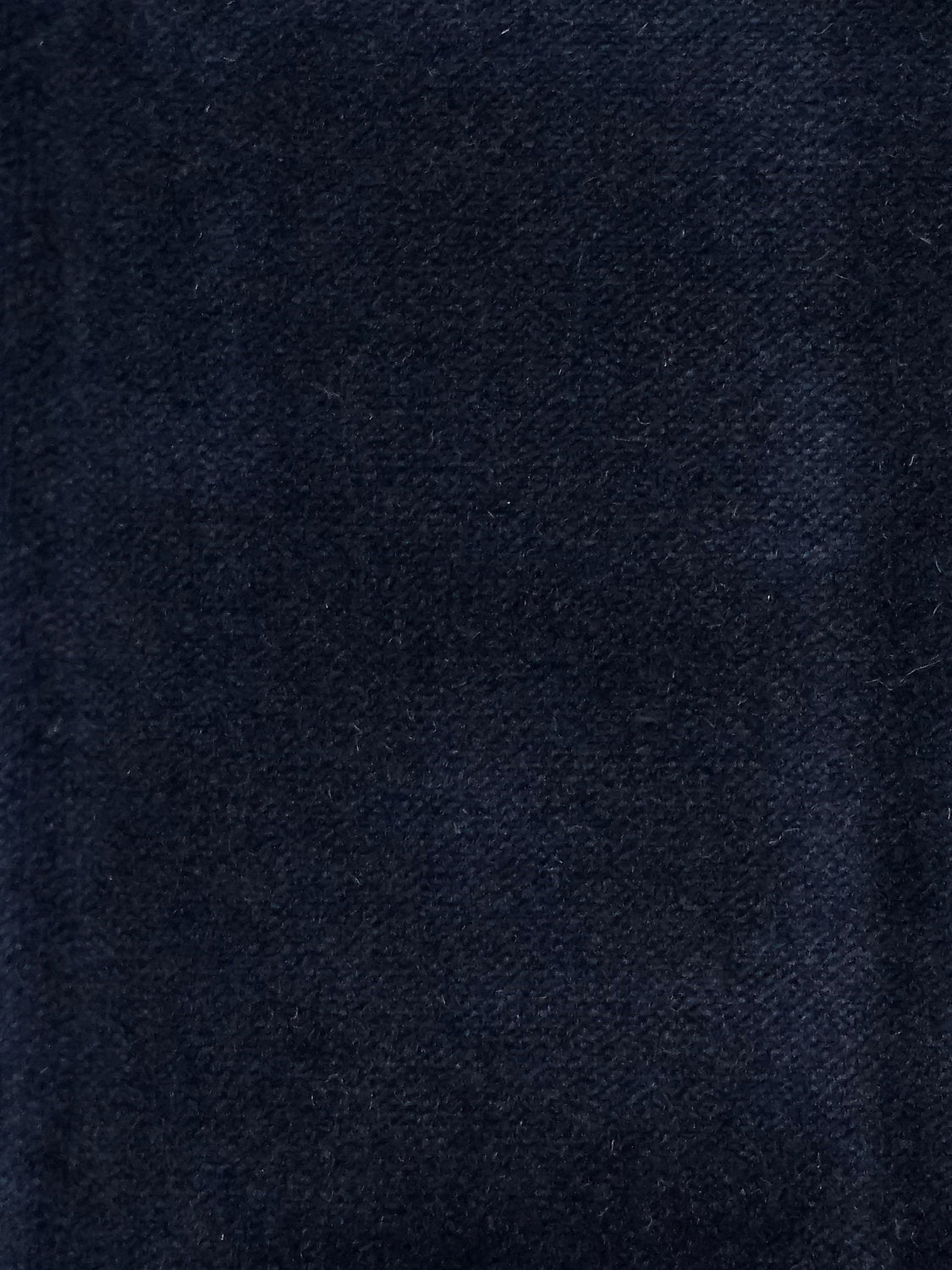 Cosmos - Indigo - Scalamandre Fabric