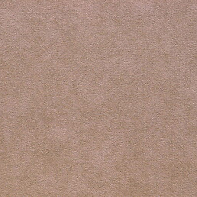 Alcantara - Taupe