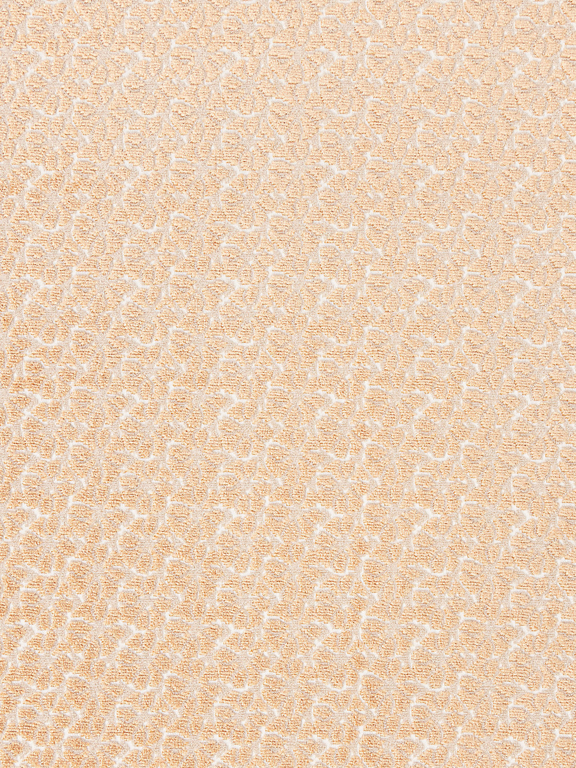 Petal Velvet - Peach Fuzz