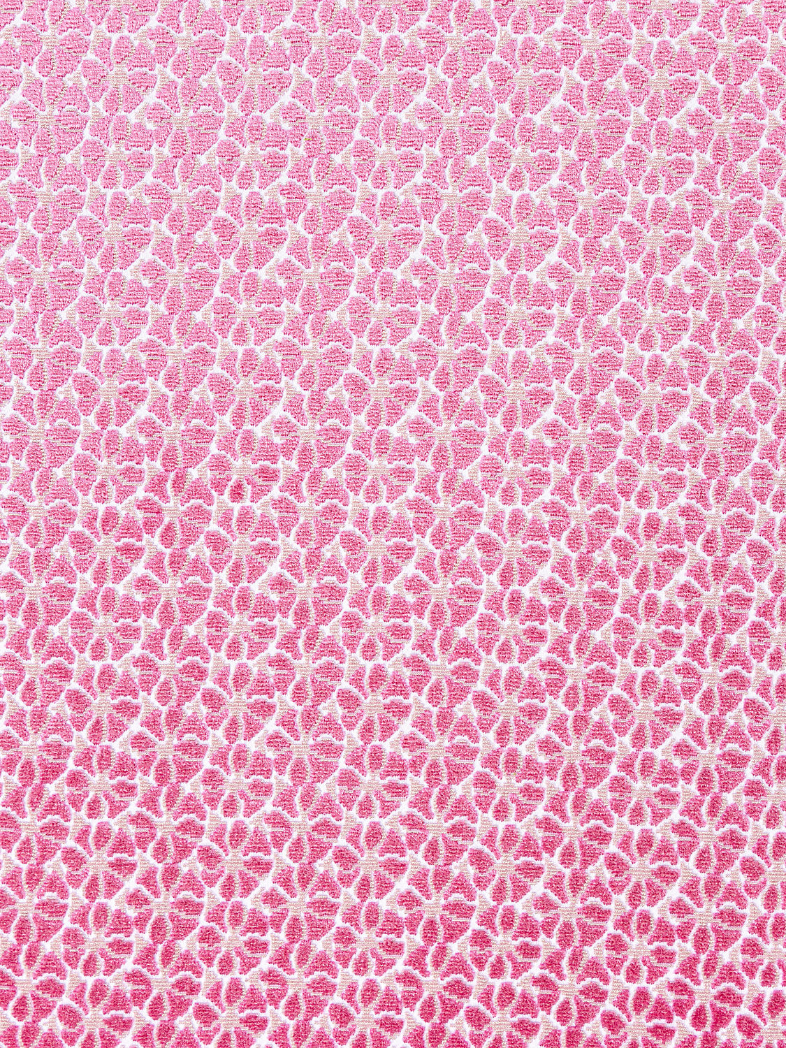 Petal Velvet - Pinks - Scalamandre Fabric