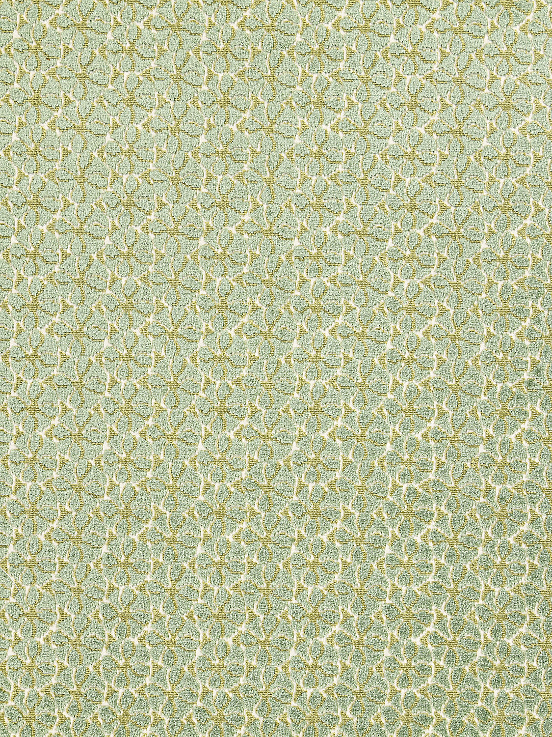 Petal Velvet - Meadow - Scalamandre Fabric