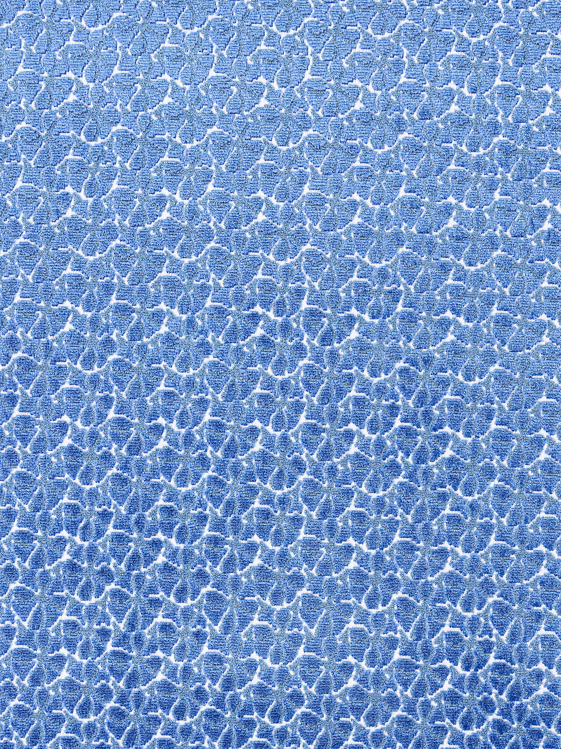 Petal Velvet - Royal Blue