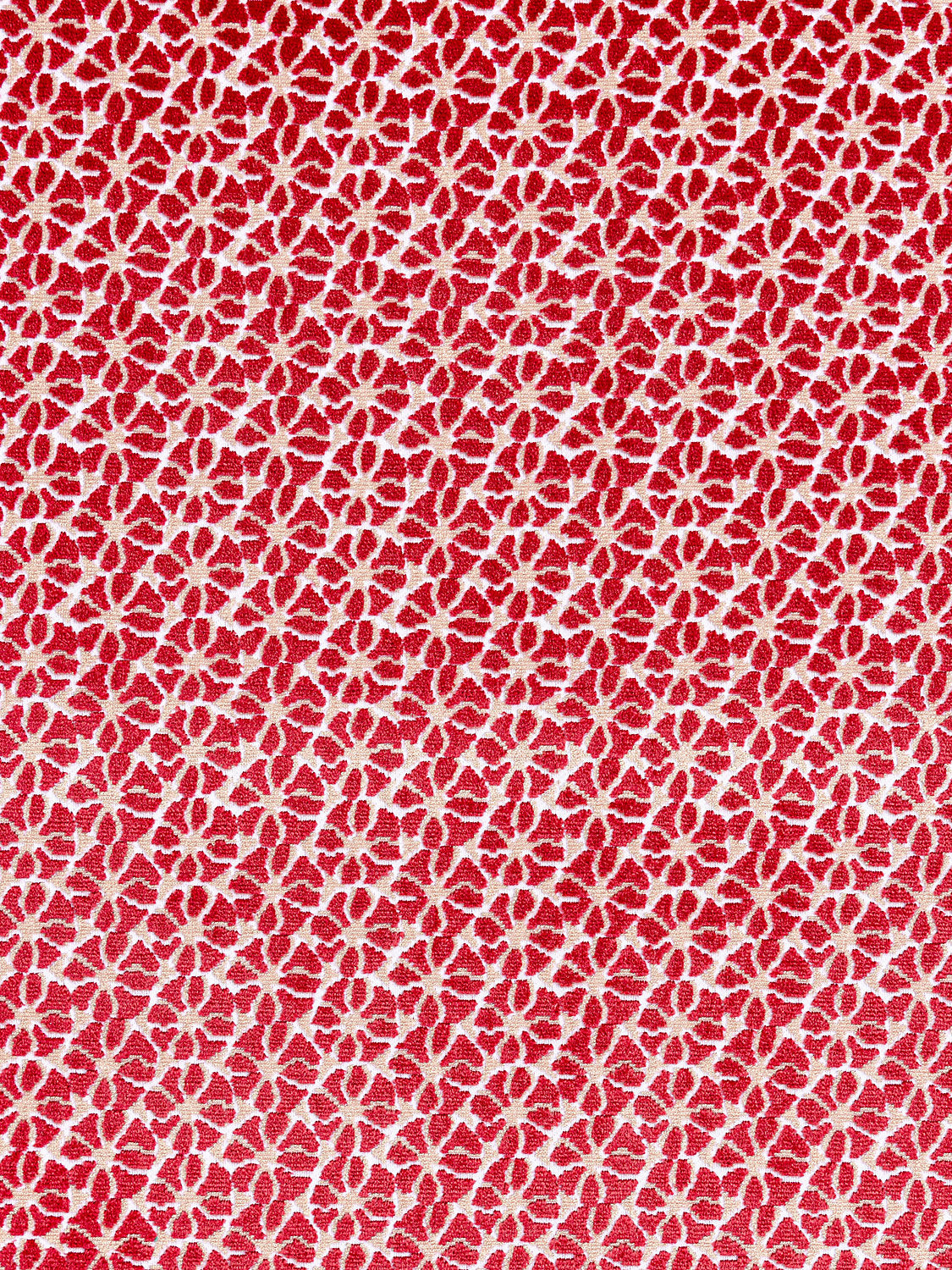 Petal Velvet - Red