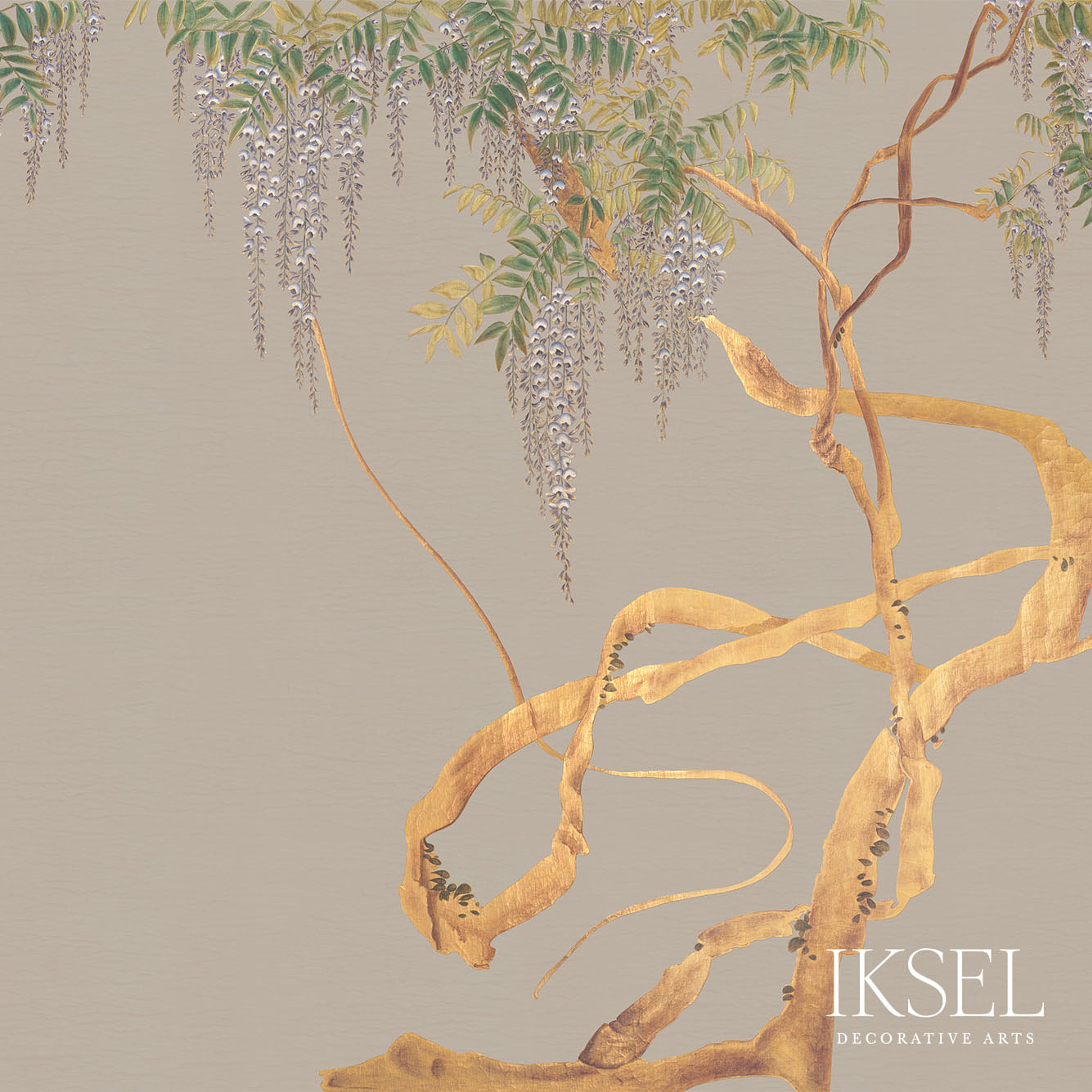 EDO-WISTERIA-CHAI-SCHUMACHER-IK2607