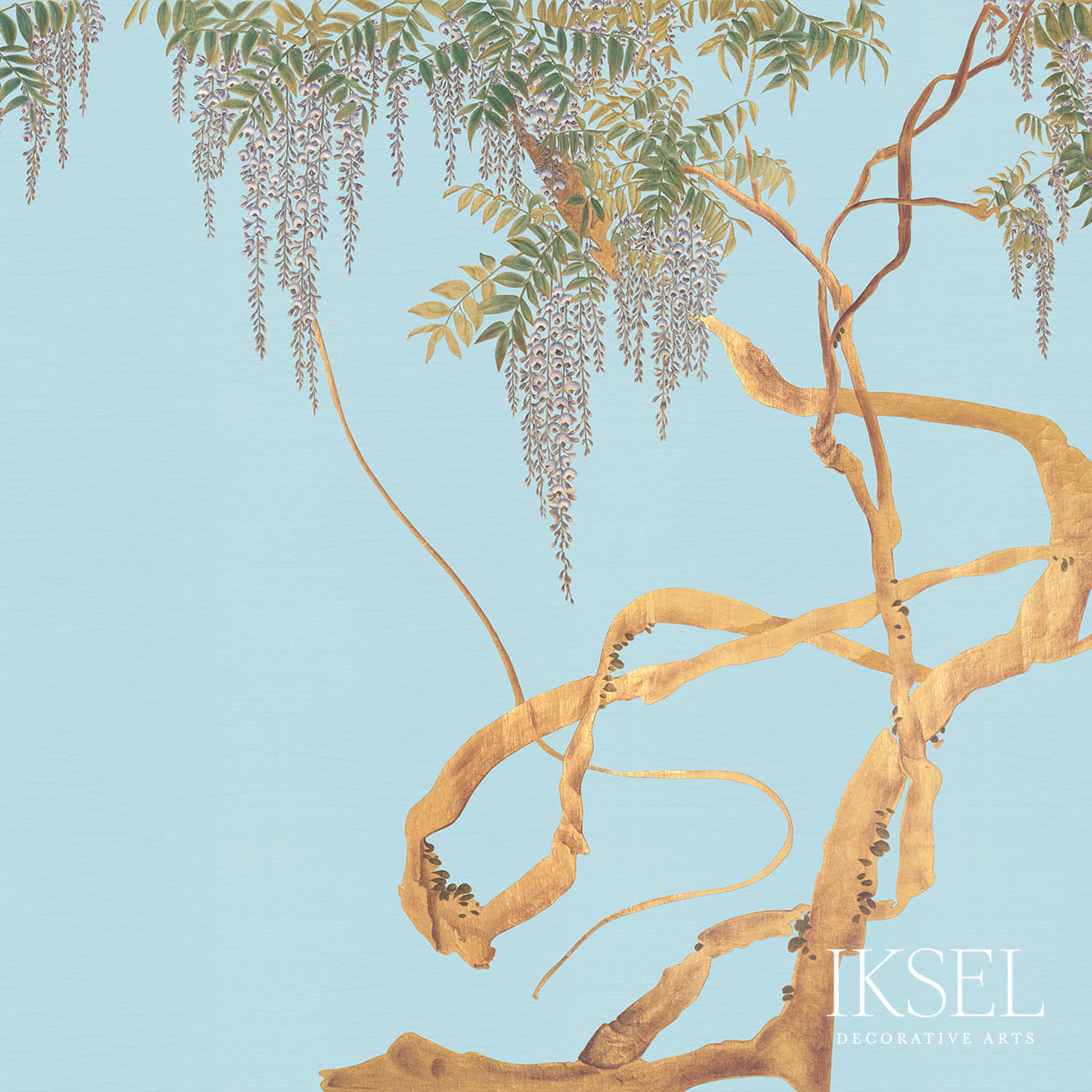 EDO-WISTERIA-SKY-SCHUMACHER-IK2608