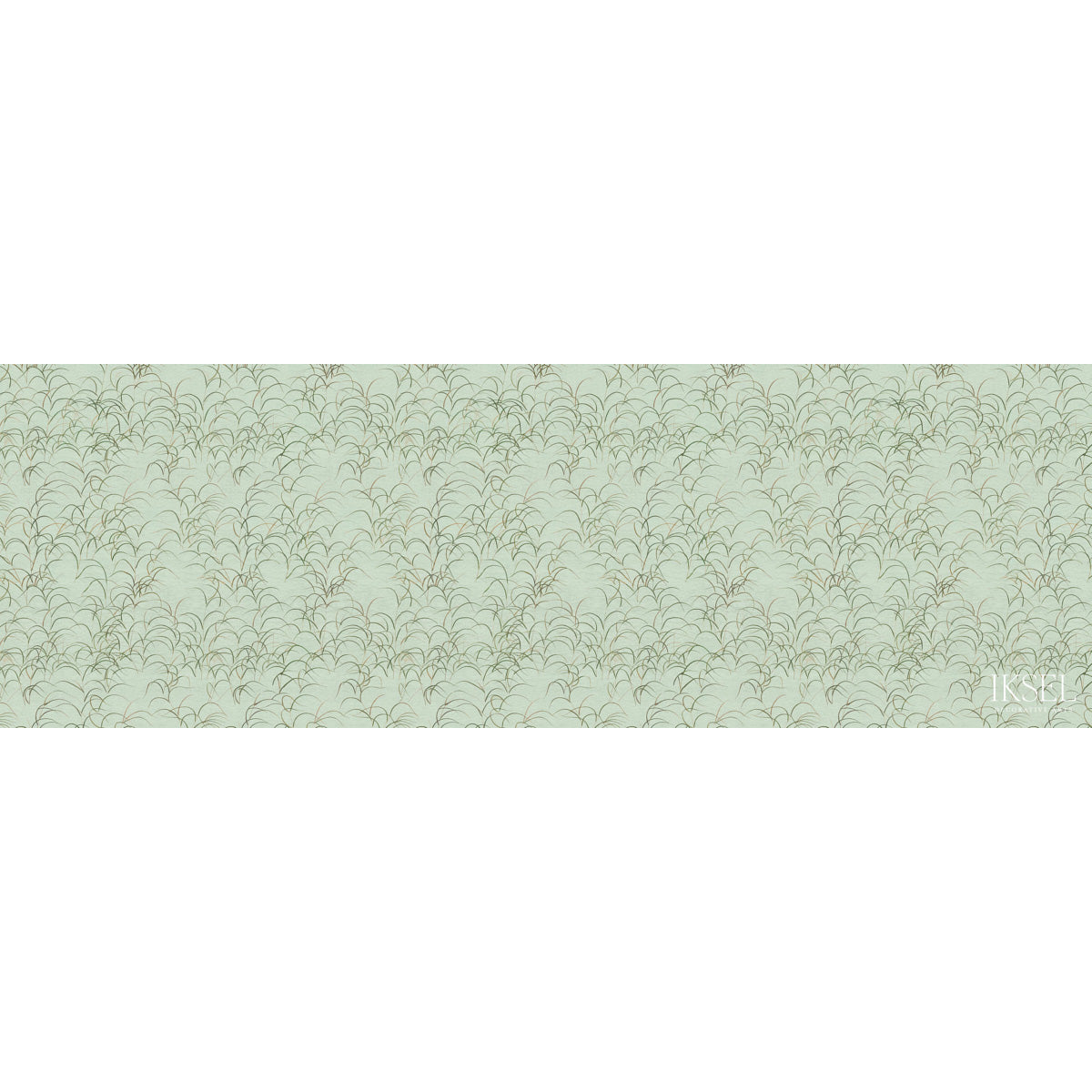JAPANESE-GRASS-CELERY-SCHUMACHER-IK8301