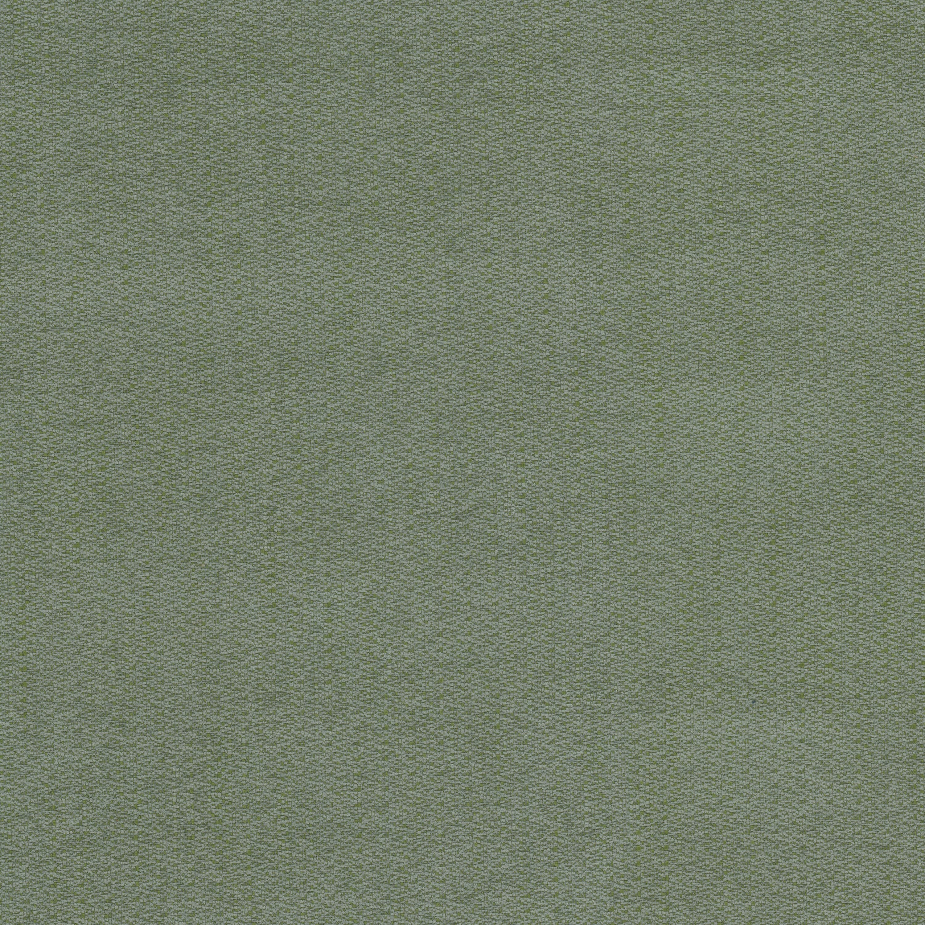 KIEV-1-SEEDLING-STOUT-TEXTILES - Stout Textiles Fabric